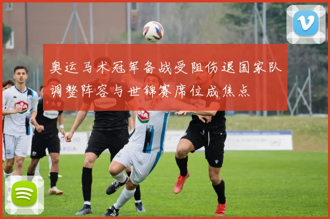 奥运马术冠军备战受阻伤退国家队调整阵容与世锦赛席位成焦点