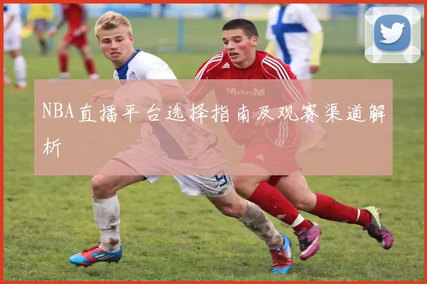 NBA直播平台选择指南及观赛渠道解析