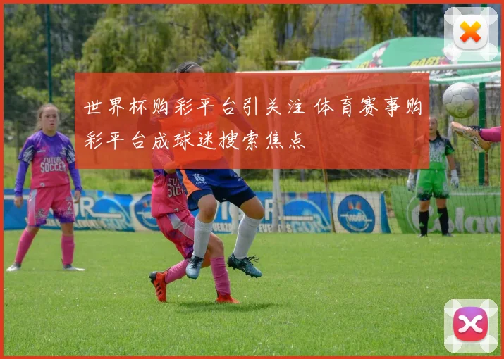 世界杯购彩平台引关注 体育赛事购彩平台成球迷搜索焦点