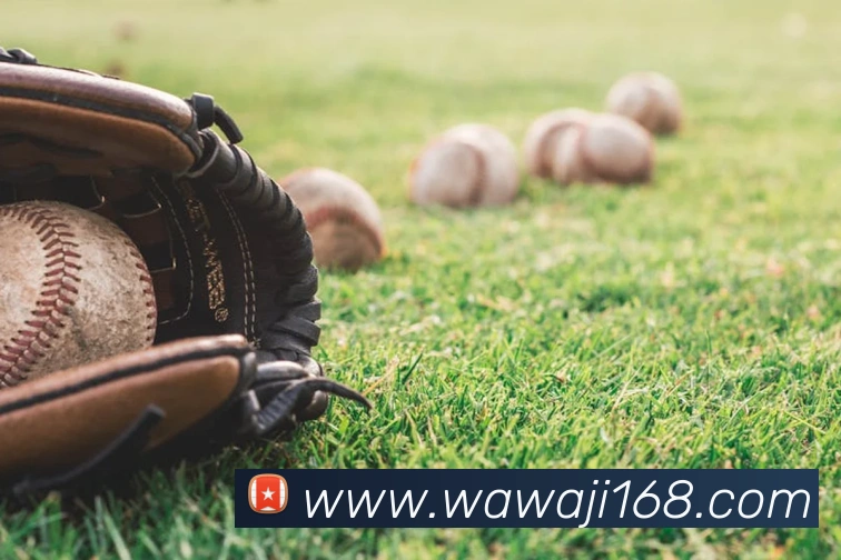 开云网页版登录入口手机版APP 封面图